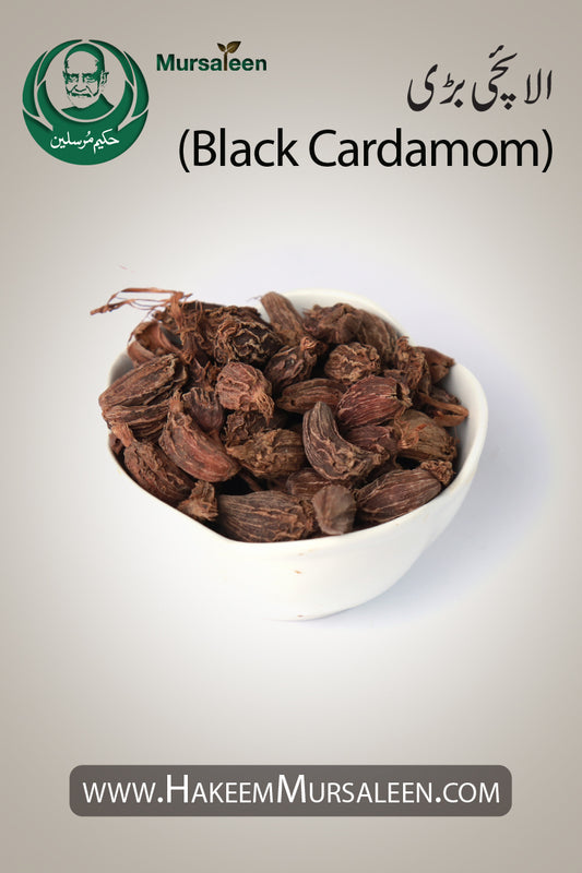 Elaichi Bari Kali Black Cardamom