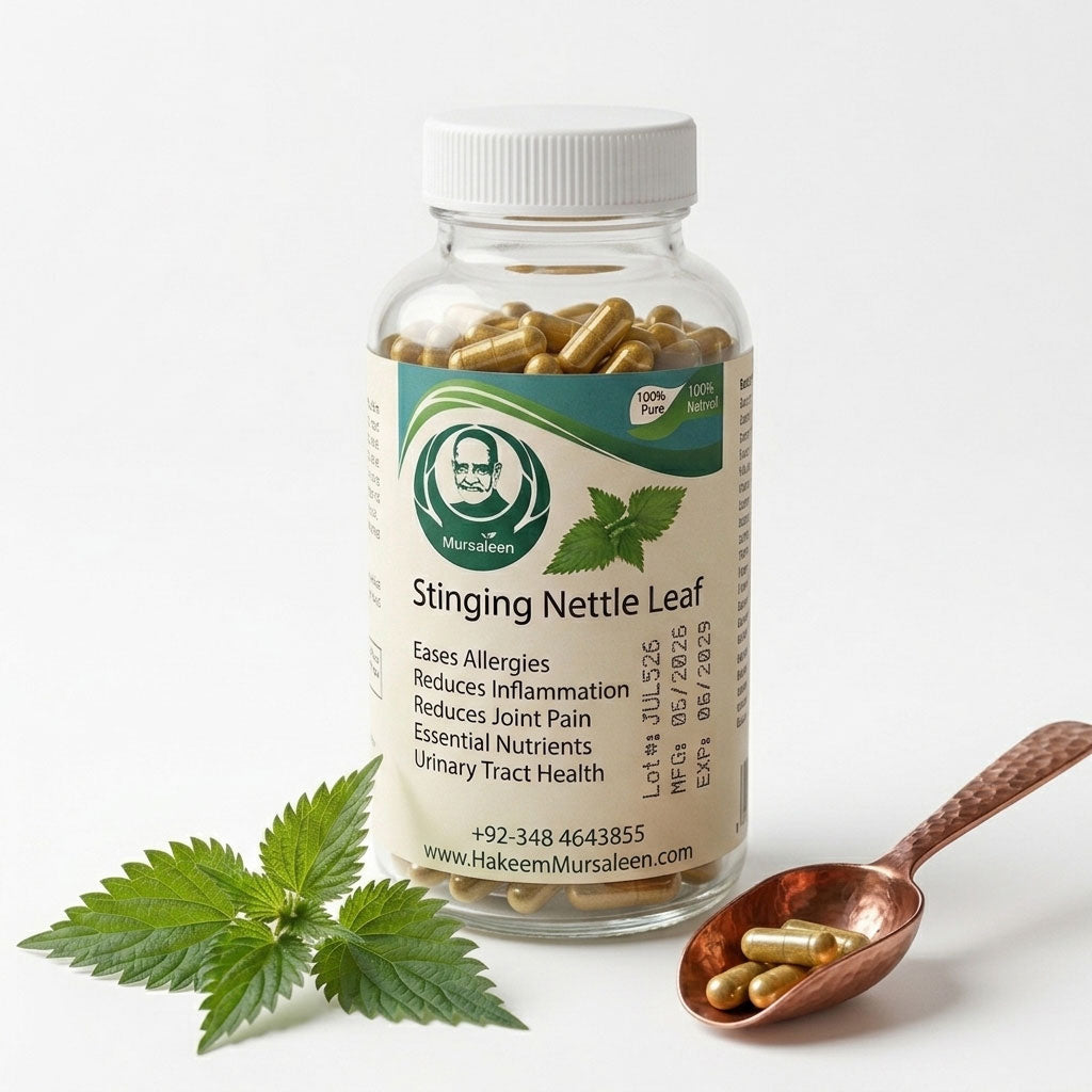 Stinging Nettle Leaf – Natural Relief for Allergies, Joints & Urinary Health | الرجی، جوڑوں کے درد اور مجاریِ بول