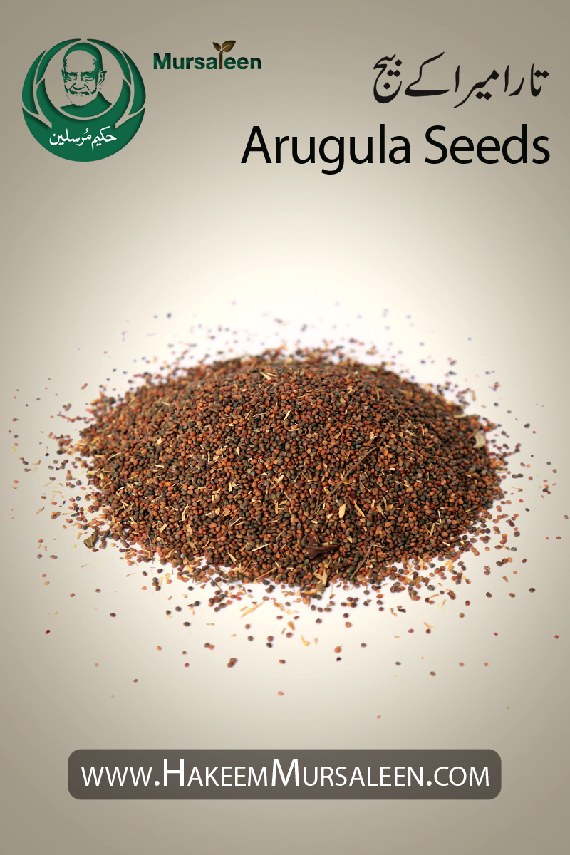 Arugula Seeds TaraMira Oil