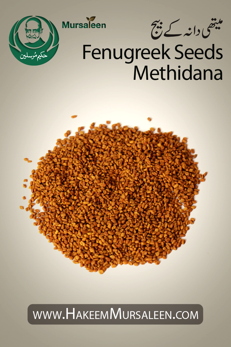 Fenugreek Seeds Methidana