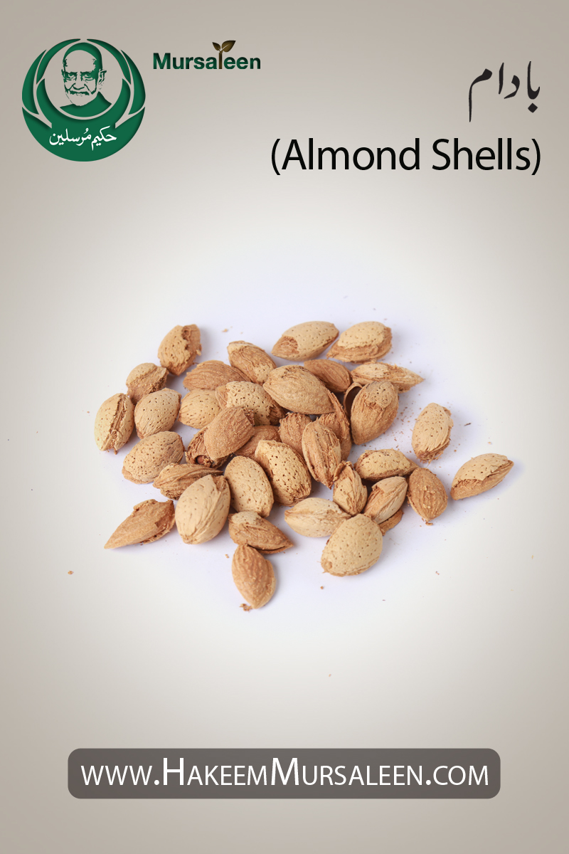 Almond Shells