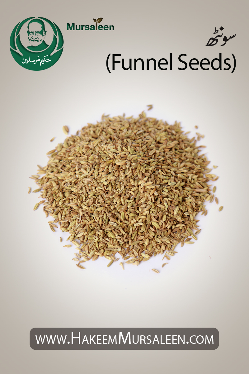 Saunf Funnel Seeds