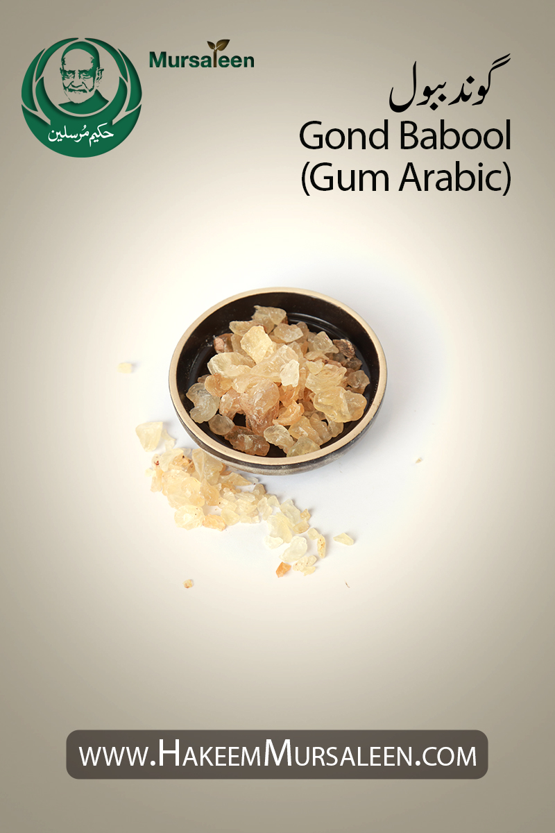 Buy Gum Arabic Online - Gond - Acacia