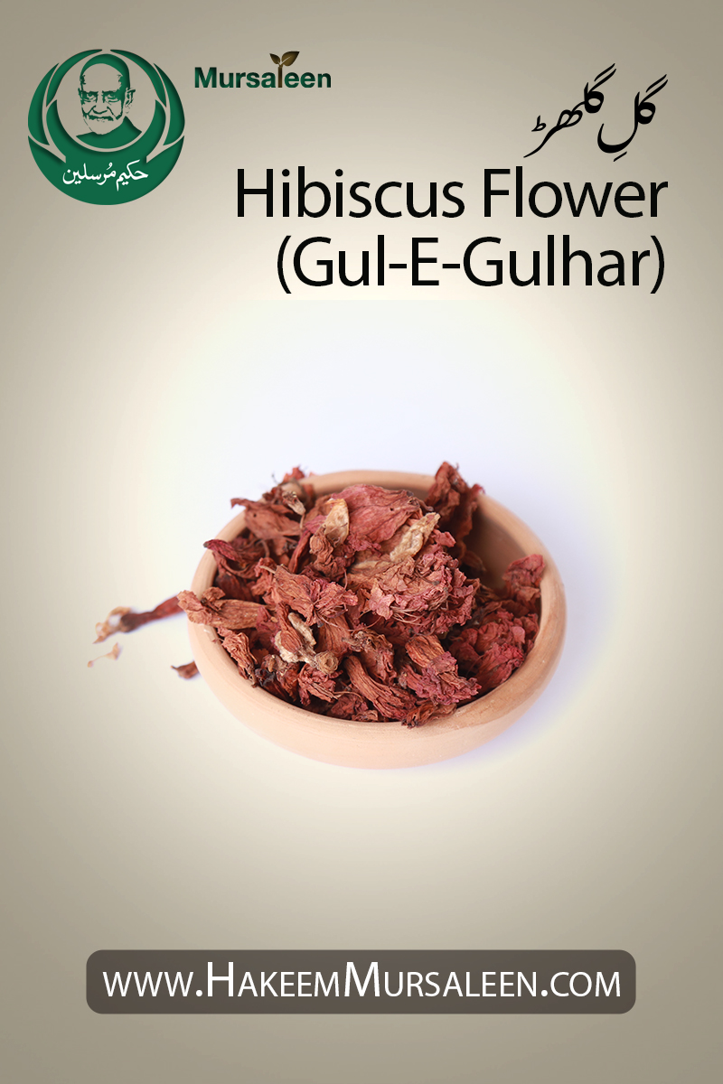 Hibiscus Flower Gul E Gulhar Hakeem